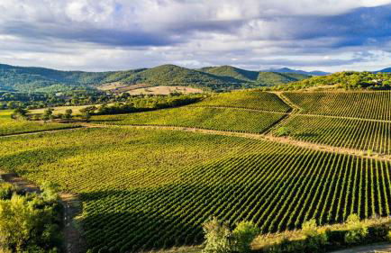 La Foresteria di Rocca di Frassinello - Foto 15