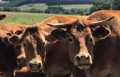 La petite Maison du Bonheur & Jacuzzi - Photo 68