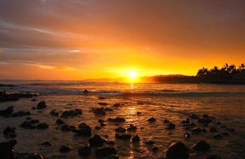 Makahuena 1310 - Foto 40