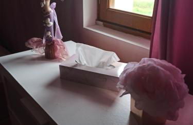 Gite La Trotiniere - Foto 25