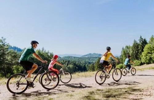 Holiday apartment in Vöhl with swimming pool - Foto 22