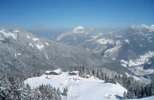 Duplex spacieux, 3 pièces près des pistes, Saint-Jean-d'Aulps - FR-1-573-76 - Foto 18