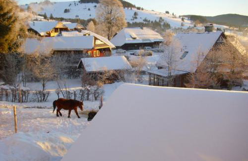 Beautiful Apartment in a Black Forest House With Conservatory - Foto 8