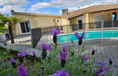 Carcassonne tranquillement - Foto 1