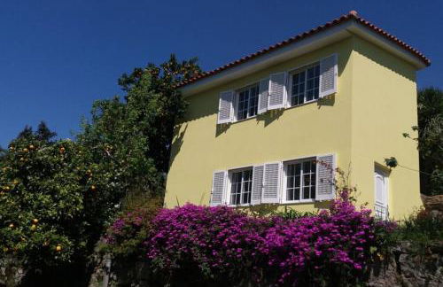 casa das laranjeiras - Foto 20