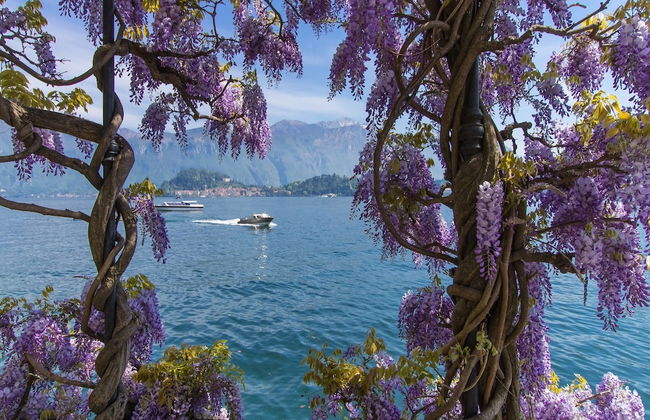 Isola Vista - Terrazzo - Photo 5