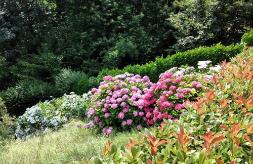 Appartamento a due passi da Burcina - Foto 24