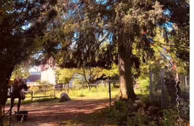 Ferienwohnungen auf einem ehemaligen Bauernhof - Foto 9