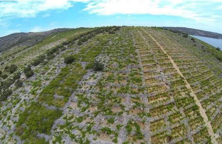 Apartment Lavanda **** - Photo 14