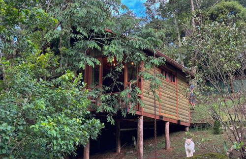 ALPEN Chalés - Natureza e Luxo - Foto 18