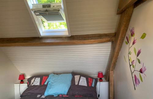 Sécadou Castanial - Foto 31