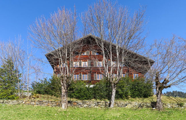 Chalet Ahorni - Foto 30