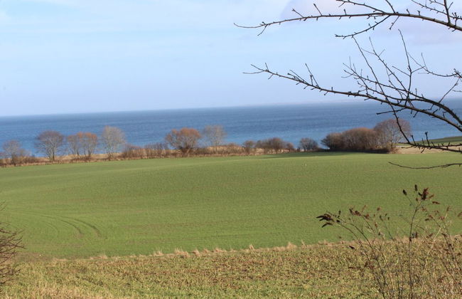 "Hoimar" - 400m from the sea - Foto 8