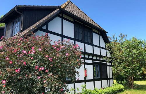 Am Achterwasser DORF 12 - Foto 39