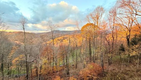 Timber Ridge Retreat - Foto 2