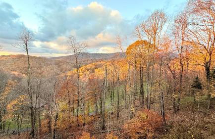 Timber Ridge Retreat - Foto 2