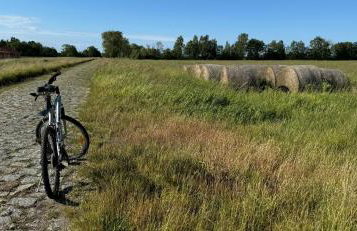 Słowińska Łąka - Foto 57