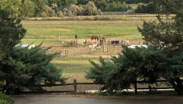 Unique Home 40 acres Peaceful Near Boulder 2 Dogs OK - Foto 3