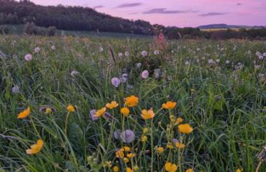 Ferienwohnung Lausche - Photo 10