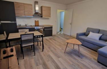 Halte Douillette au cœur de la Ville - Foto 5