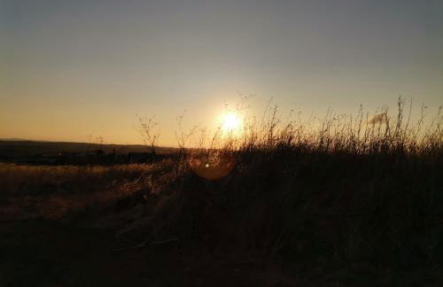 Paredes com Memória - Foto 20