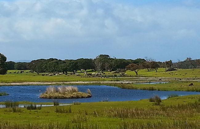 Nutkin Lodge - Photo 75