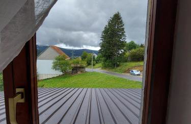 Apartman Skender 3* Ravna Gora - Foto 62