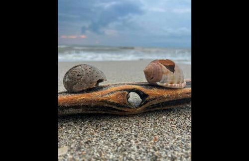 Cocoa, Beach house - Foto 33