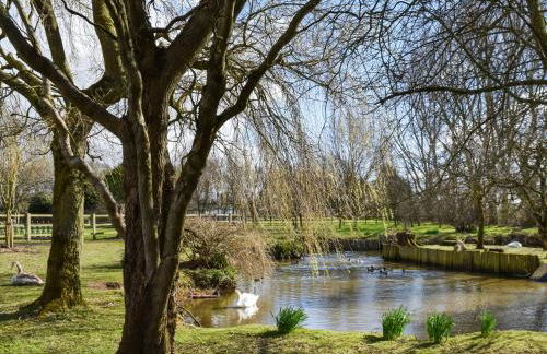 Woodpecker Lodge - Uk49149 - Foto 16