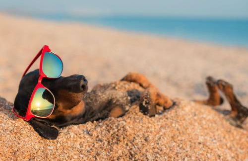 Sunset House On The Beach - Foto 23