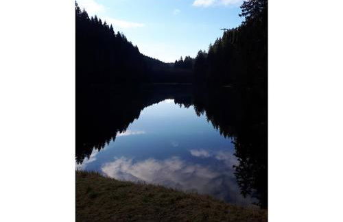 Holiday home in the Harz Mountains with 3 bedrooms - Foto 31