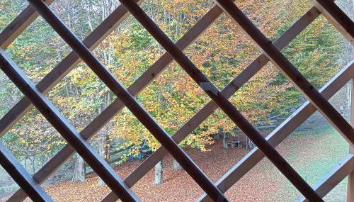 Chalet Navauce - Foto 2, Garden view