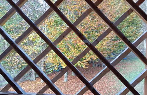 Chalet Navauce - Foto 2