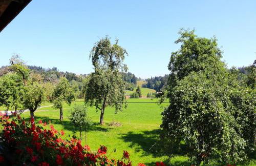 Ferienwohnungen Berger - Foto 28