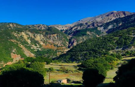 Sunshine Home - Peaceful Garden Escape & Parking - Foto 23