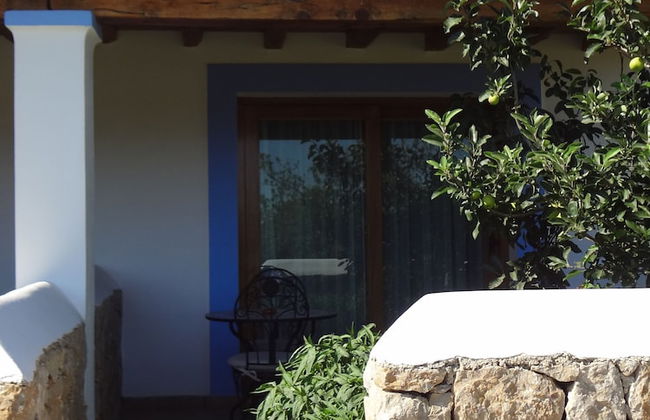 Agroturismo Sa Vinya d'en Palerm - Foto 15