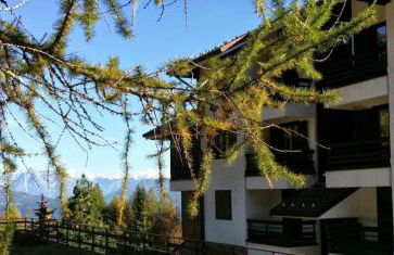 Residence Stefania - Foto 74