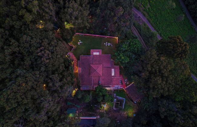 Rayne Forest - Foto 26