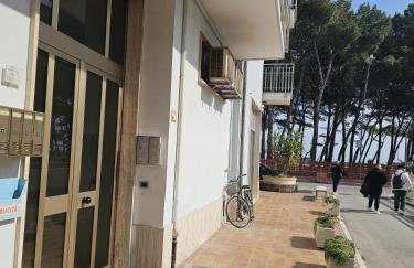 Alba Mare - Foto 12