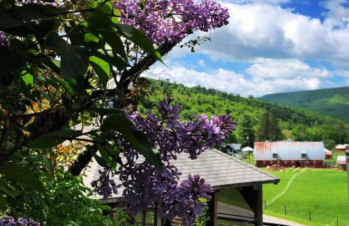 The Blue House On The Hill Catskills—Views - Photo 40
