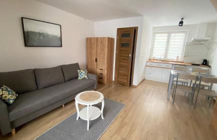 Apartamenty Młynne - Foto 16
