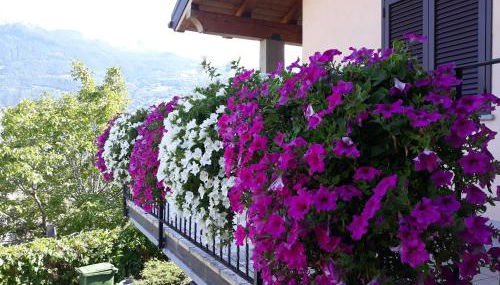 Villetta maison hélène CIR n 0391 - Foto 2