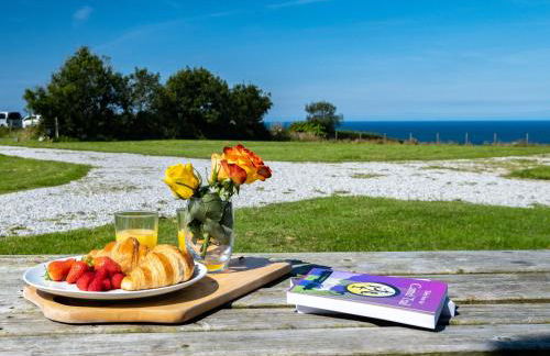 Harbour Lodge - Photo 18