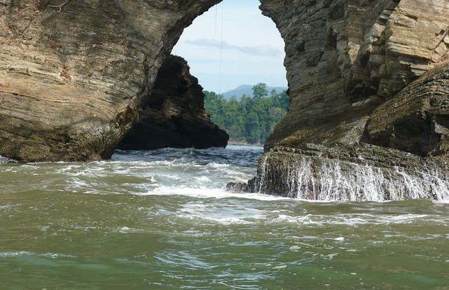 Avistamento de cetáceos no Parque Nacional Marino Ballena - Foto 8