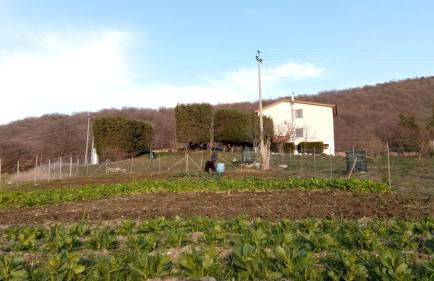 Agriturismo Costa San Bernardo - Foto 17