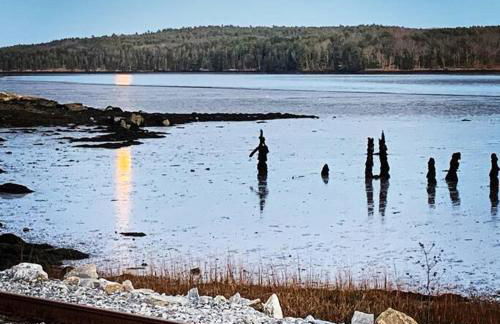 The Highland Cottage on Sheepscot - Foto 6