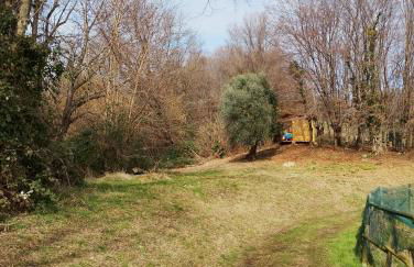 Agriturismo La Collina delle Api - Foto 47