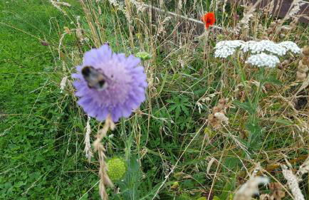 Wester Blackpark Farm - Photo 6