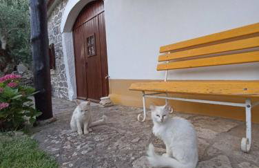 Casa do Largo - Foto 30