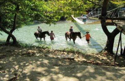 VILLA ELLI - Foto 62